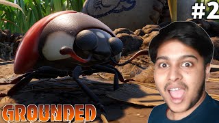 Giant Ladybug | Grounded Gameplay [#2] screenshot 3