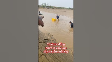 2 keer in ondiep brak water, vermoeide handen bij het oppakken van vis, krabben en garnalen #viss...