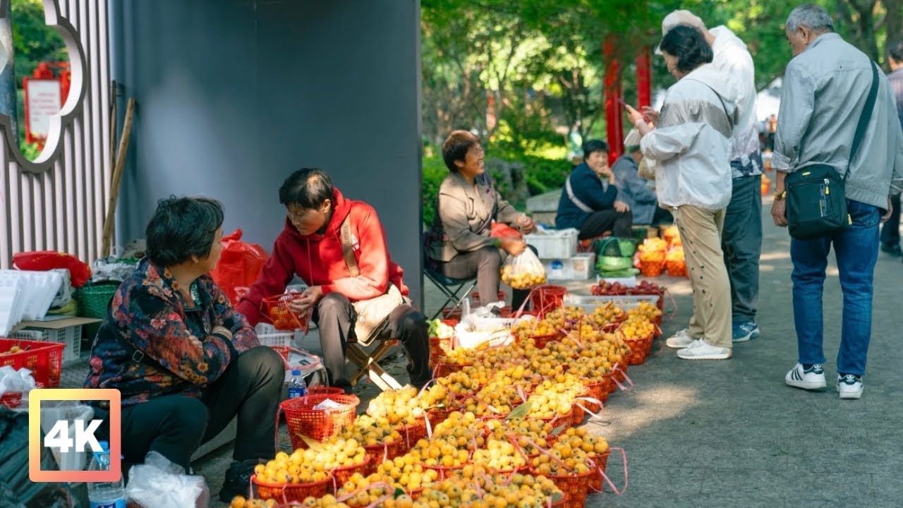 China’s Real Life: Suzhou Alley Walk with Loquats & Local Vibes (端午節前夕)