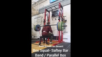 Box Squat- Safety Bar/ Bands / Parallel Box