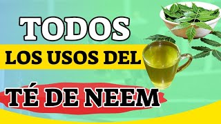 Neem Laisse Le Thé À Quoi Sert - Il, Avantages Et Comment Il Est Préparé, Neem, Nimbus Ou Mar