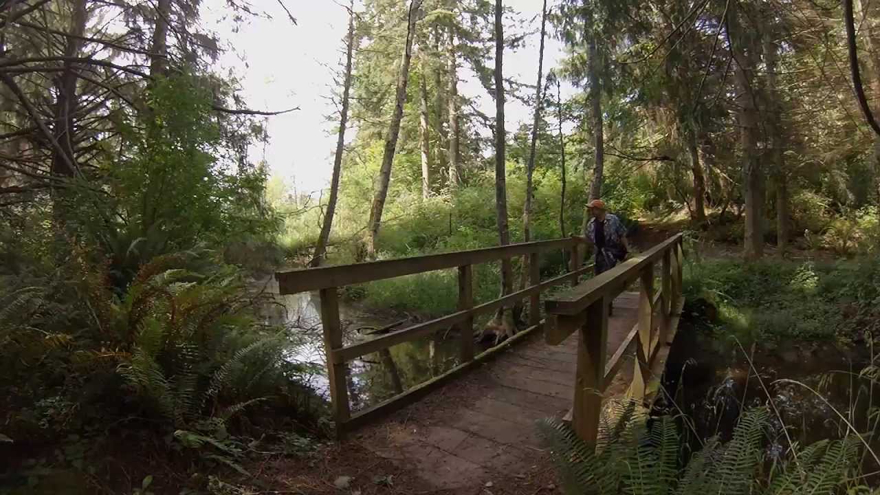 2013-06-28 Anderson Lake Park Trails