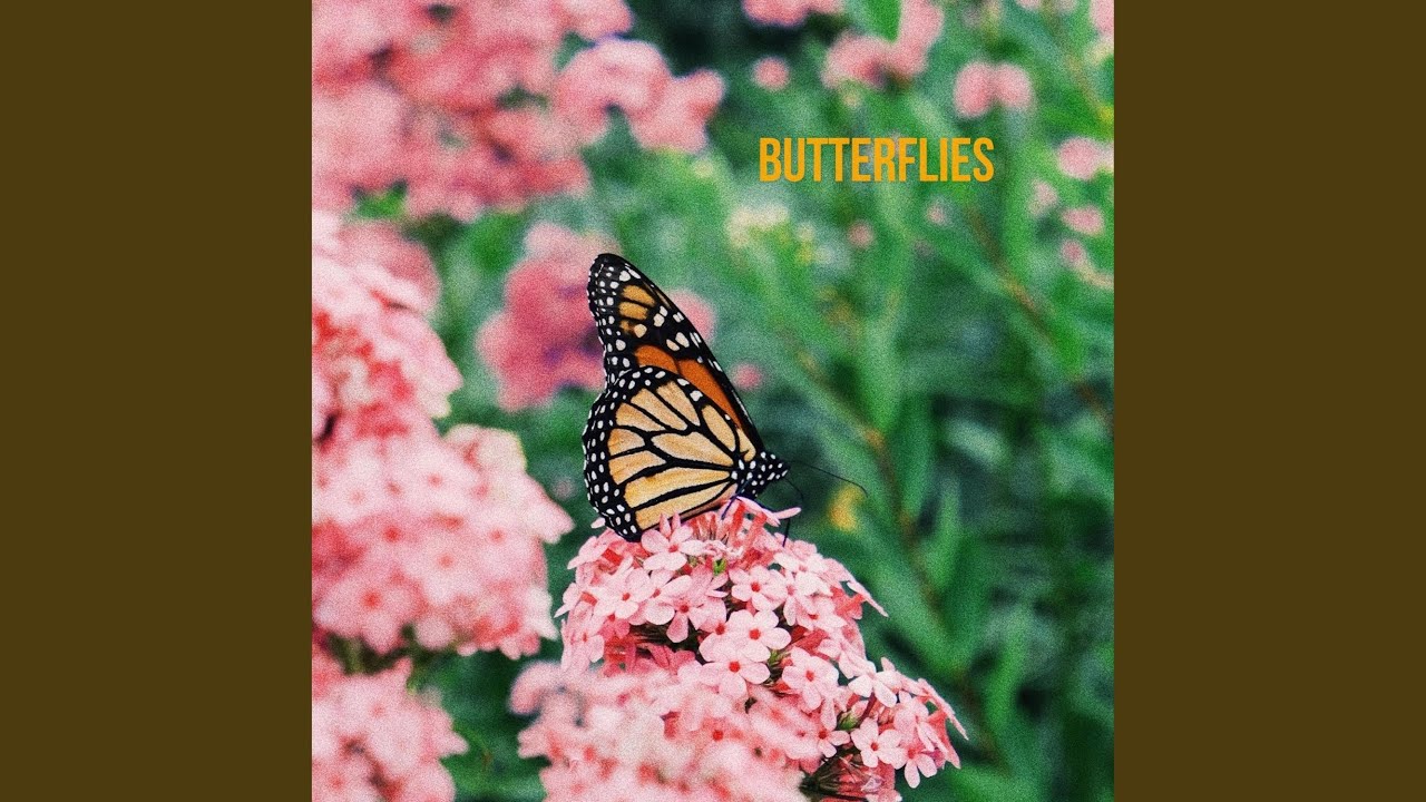 Watch Butterflies on YouTube Watch Butterflies on YouTube
