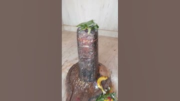 घर में शिवलिंग रखने से क्या होता है ? 🙏#shorts #youtubeshorts #shortvideo #mahadev  #pradeepmishra