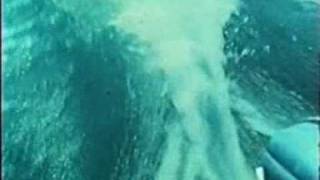 1.Title5.avi