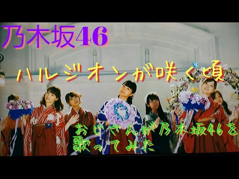 乃木坂46 ハルジオンが咲く頃 おじさんが乃木坂46を歌ってみた