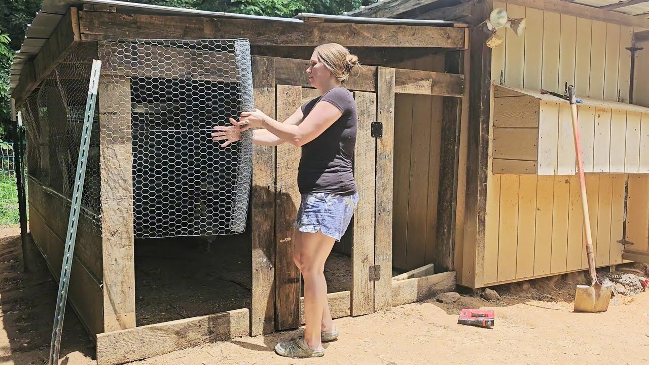 DIY Chicken Run with Repurposed Lumber | No Carpentry Skills
