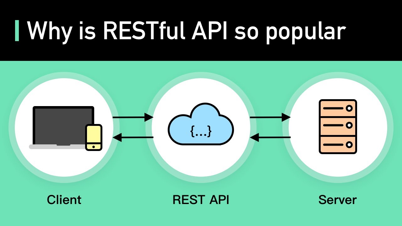 What Is REST API Examples And How To Use It Crash Course System Design  3