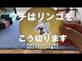 【アラフィフ一人暮らし】日常vlog／包丁下手でも安心！リンゴを丸ごとおいしく食べる切り方｜地方在住・無職独身女｜ひとりといっぴき暮らし