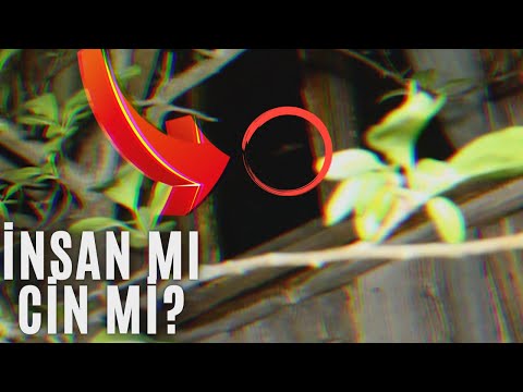 BÜYÜLÜ EVDE TAKİPÇİMİZİ KAÇIRDILAR PARANORMAL OLAYLAR | 2. Bölüm | @ScaryParanormalTR