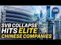 SVB Collapse: Would the US Help Chinese Drugmakers? | China In Focus