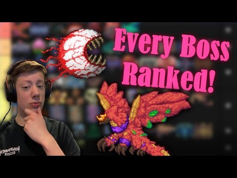 I Ranked Every Terraria Calamity Boss 