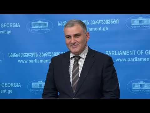 ანგარიშის ერთი ფრაგმენტი შეურაცხმყოფელი და  დამამცირებელია- სარჯველძე \'ფრიდომ ჰაუსის\' ანგარიშზე