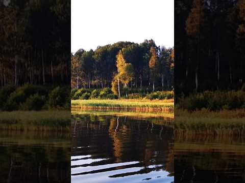 #music #lofi #фото #природа #красота #nature #realistic #reallife #реальнаяжизнь #рекомендации #art