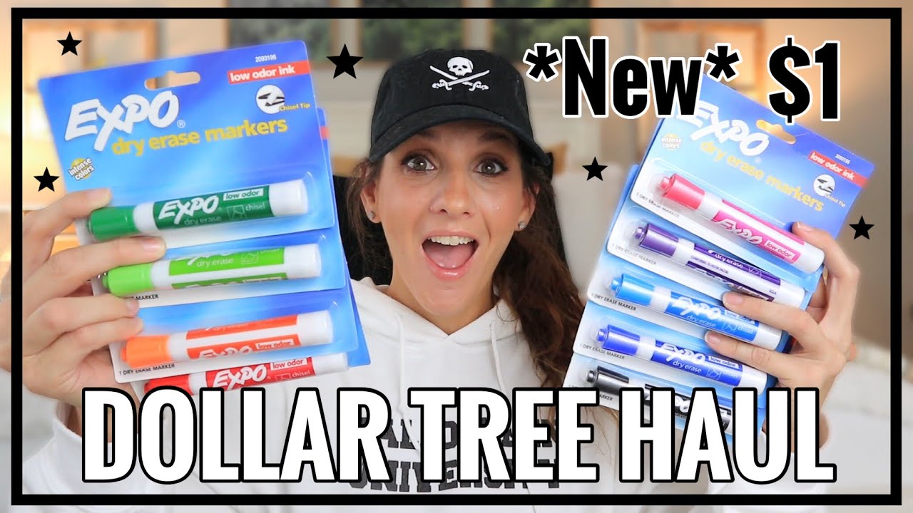 DOLLAR TREE HAUL *BRAND NEW FINDS* + $1.00 ORGANIZATION SET UP