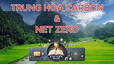 Sự khác biệt giữa Trung hòa Carbon và Net Zero