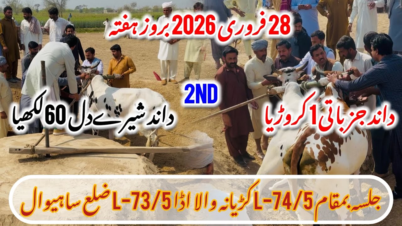 28/2/2026 New Bull Race Sahiwal Andri Dand Sher Dil 60 Lakhia Bari Dand Jazbati 1 Cororia