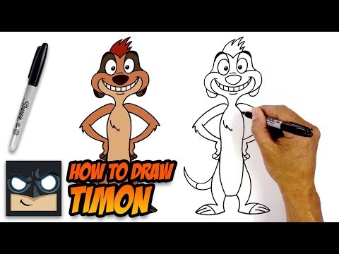 Vídeo: Como Desenhar Timon