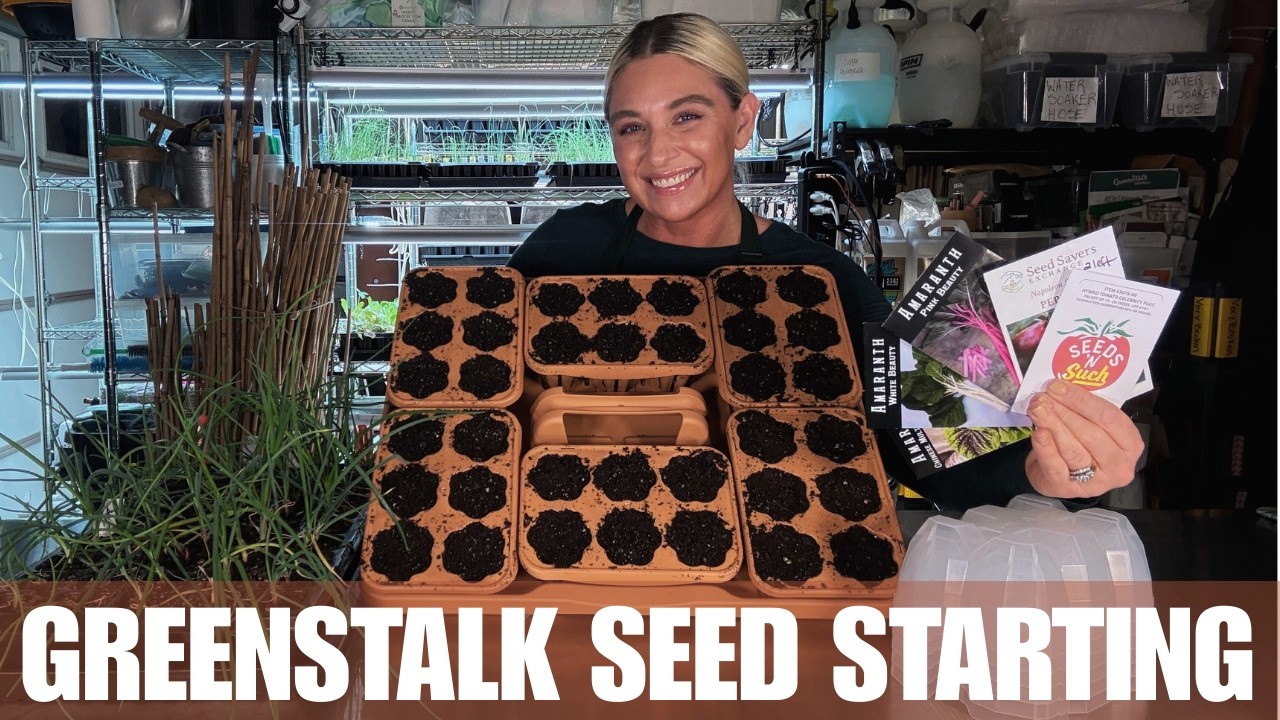 В восторге от этих семян! | Сезон посадки в марте