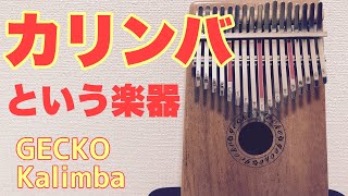 【楽器紹介】カリンバという楽器