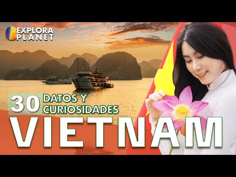 Video: Naturaleza de Vietnam: geografía, vistas, flora y fauna del país
