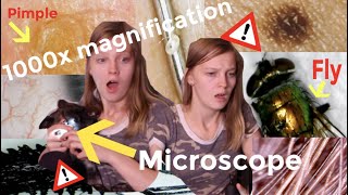 MICROSCOPE CHALLENGE!! Warning: Extremely GROSS! 1000x Magnified