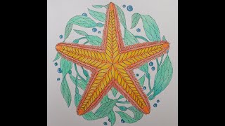 Adult Colouring Tutorial Starfish - from Secrets of the Sea by Millie Marotta