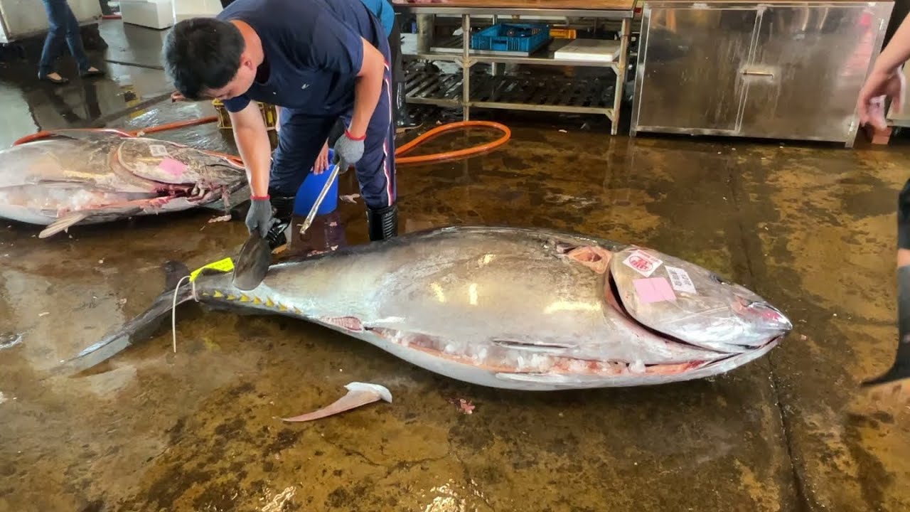 A Delicate Dance of Knives and Flavor in Bluefin Tuna Carving YouTube
