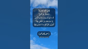 سورة يونس الآية ٦٨ الى ٧٠ بصوت الشيخ محمد صديق المنشاوي