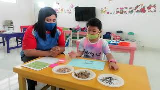 Pembelajaran Berbasis Steam dan Loose Parts (Dessy Amelia/19156070)