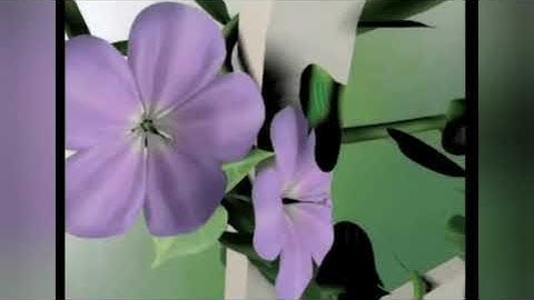 3d Studio Max old demo 1996