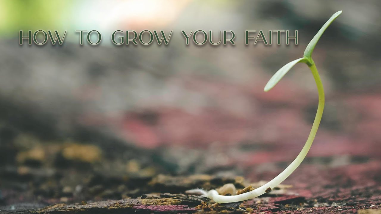 How To Grow Your Faith | Sunday June 2, 2024 - YouTube