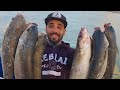 The Best Way To Catch Mullet Giants - Effective method - Traditional Moroccan Style