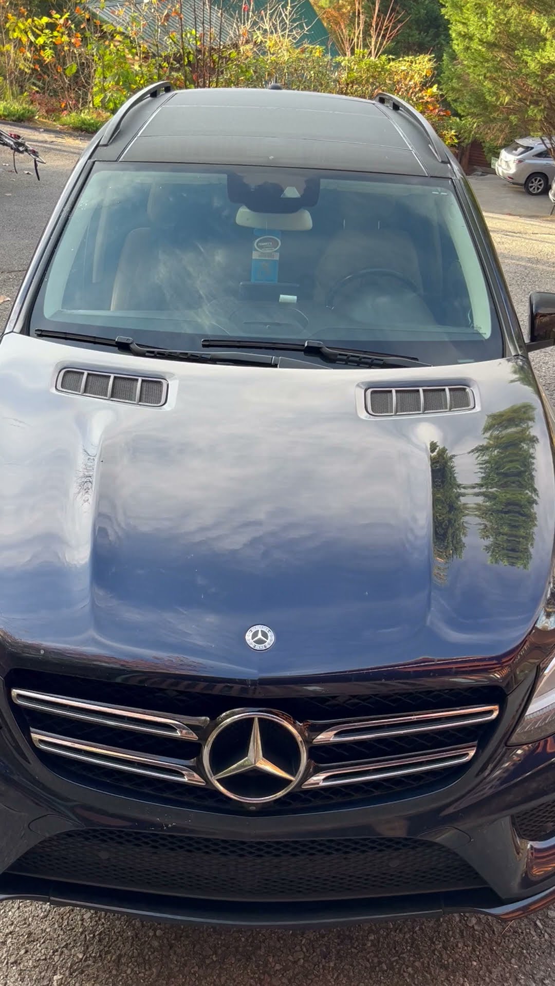 Black Bear Gets Into Unlocked Car || ViralHog
