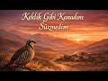 Keklik Gibi Kanadını Süzmedim | Anatolian Folk