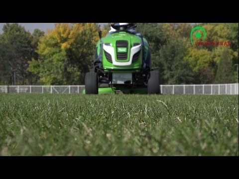 START UP – takarító vállalkozás, Ada (videó)
