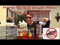 How To Kill Fruit Flies Once & For All! | Trying All The Methods