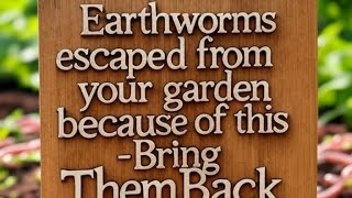 Why You Don’t See Earthworms in Your Raised Bed—and How to Attract Them