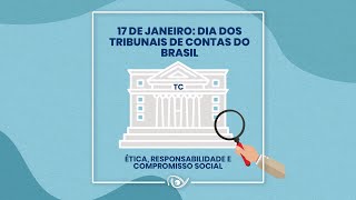 COMO SURGIRAM OS TRIBUNAIS DE CONTAS NO BRASIL?