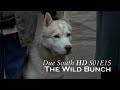 Due south  s01e15  the wild bunch