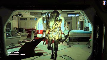Alien: Isolation really m8