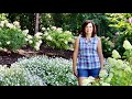 Why You Need a Hydrangea Sandwich // Gardening with Creekside