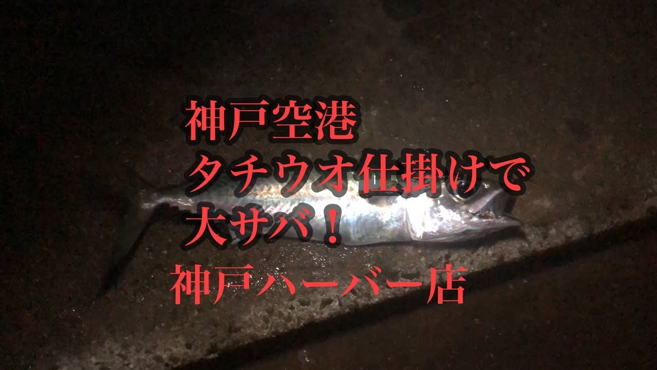 神戸空港タチウオ仕掛けや飛ばしサビキ釣りで大サバ Fishingmax神戸ハーバー店 Youtube