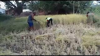 Hulu eiruh #village farmer life