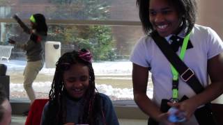 Stem Day 2017