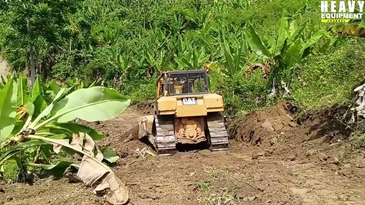 Excellent Work by Caterpillar D6R XL Bulldozer Operators Working to Smooth Roads on Plantations