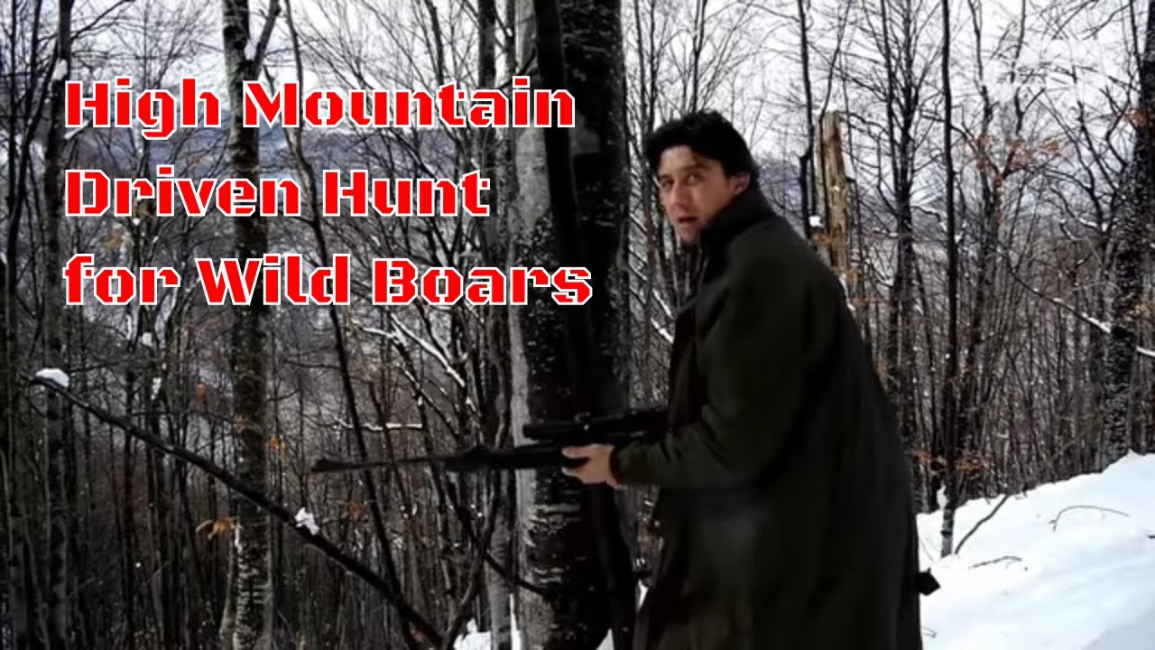 High Mountain Driven Hunt for Wild Boars with Daniel Borimirov BH 40