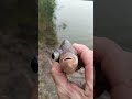 Случай на рыбалке