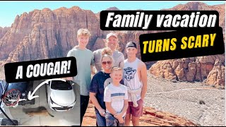 Family vacation turns SCARY! Hint...it&#39;s a cougar!