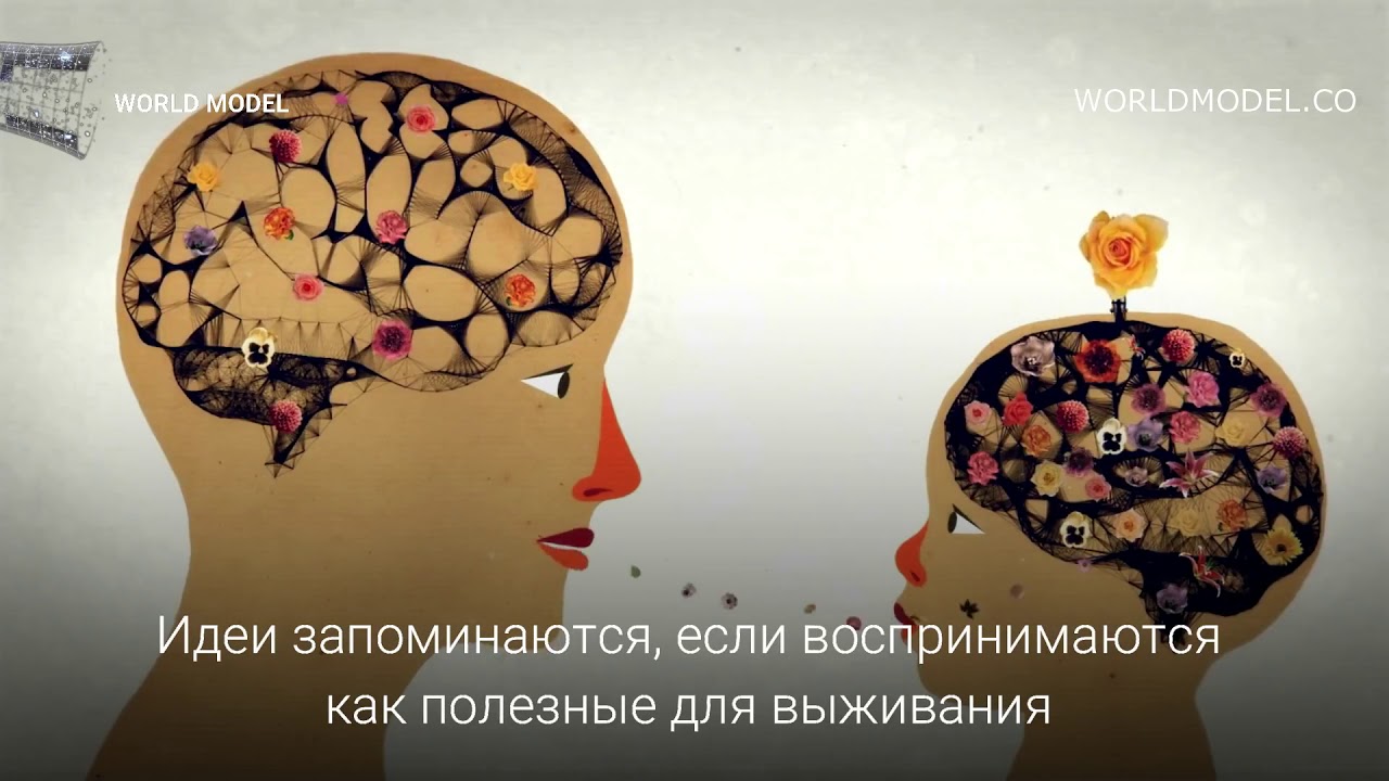 В чем смысл соляриса В чем смысл соляриса
